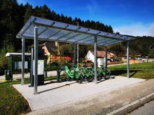 Picikl Strojnska reka